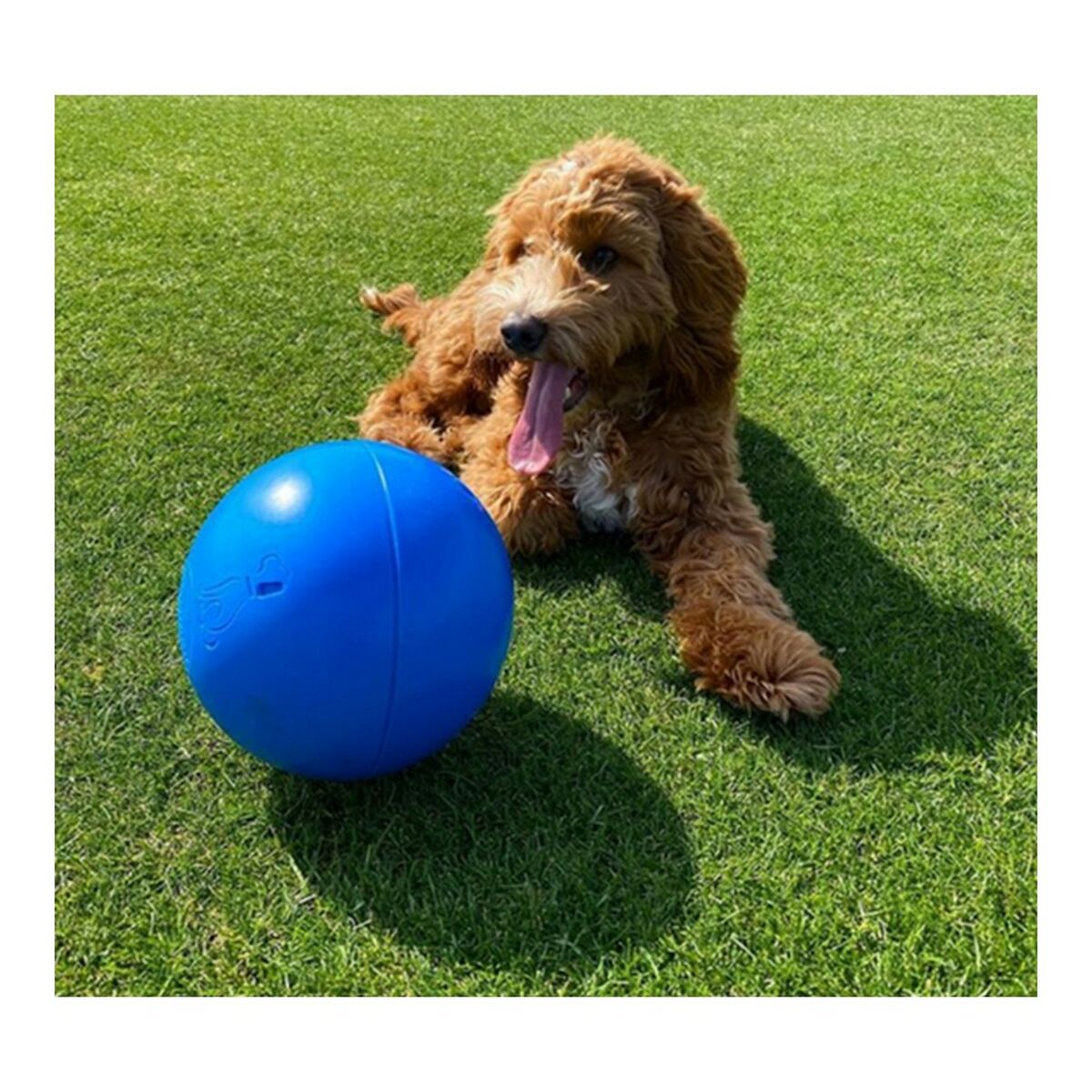 Dog toy Company of Animals Boomer Blue (100mm)