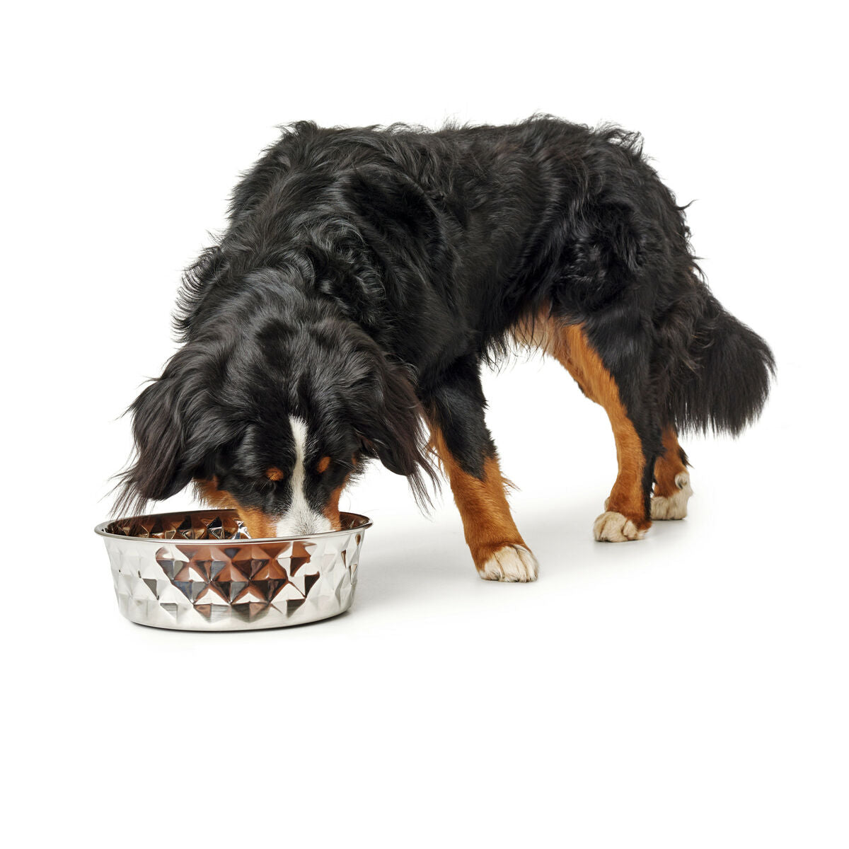 Dog Feeder Hunter Silicone Stainless steel 1,75 L