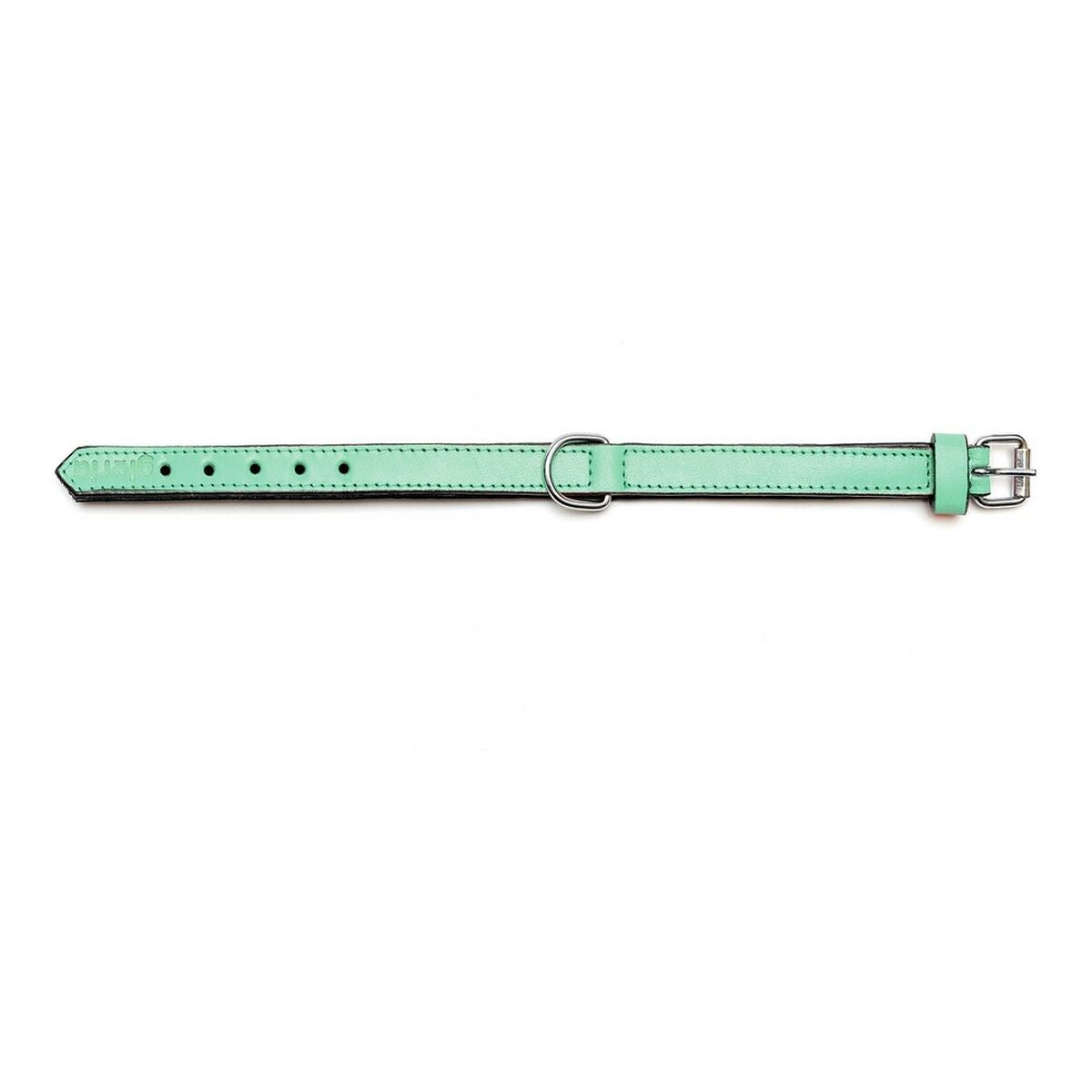 Dog collar Gloria Padded Green (50 x 2,5 cm)