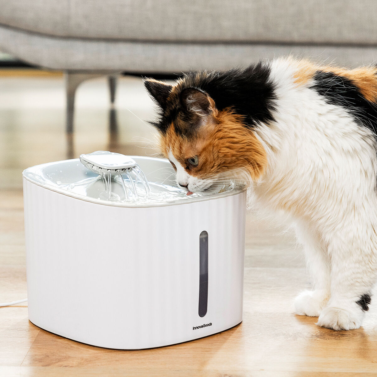 InnovaGoods - Pet Water Fountain Drinkatt