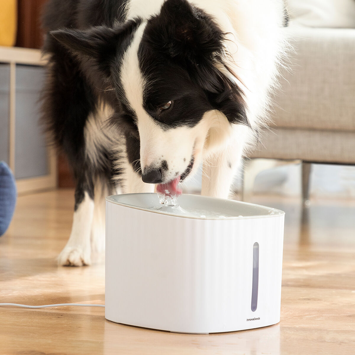 InnovaGoods - Pet Water Fountain Drinkatt