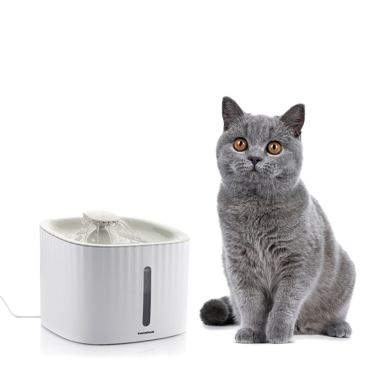 InnovaGoods - Pet Water Fountain Drinkatt