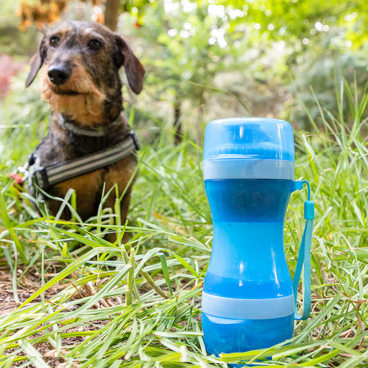 InnovaGoods Pettap - 2-in-1 bottle With Water and food containers for pets