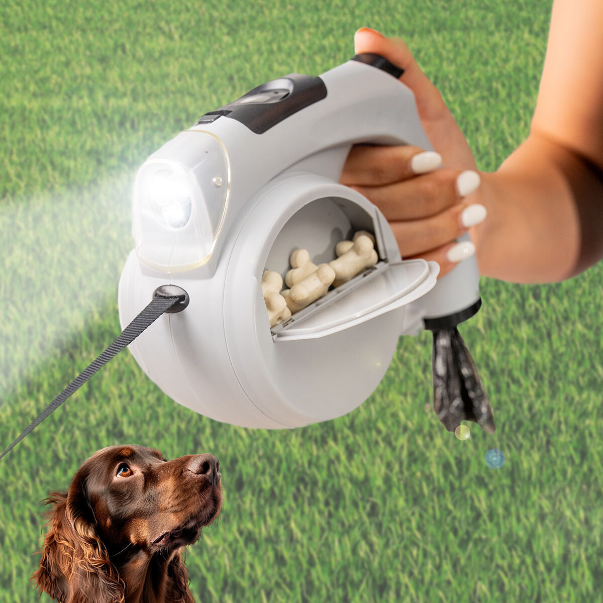 InnovaGoods - 6-in-1 Retractable Dog Leash Leashic